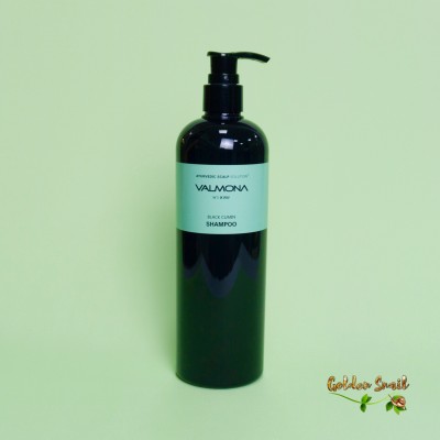 Шампунь аюрведический для оздоровления кожи головы Evas Valmona Ayurvedic Scalp Solution Black Cumin Shampoo 480 мл