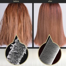 Восстанавливающая сыворотка для поврежденных волос 15 мл Hair Plus Protein Bond Ampoule