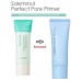 Праймер для кожи с расширенными порами The Saem Saemmul Perfect Pore Primer