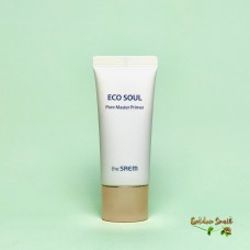 Праймер для кожи с расширенными порами The Saem Eco Soul Pore Master Primer