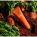 Укрепляющий крем на основе органической моркови Ottie Vegan Beta-Carrot Shield Cream