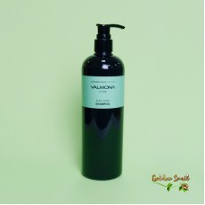 Шампунь аюрведический для оздоровления кожи головы Evas Valmona Ayurvedic Scalp Solution Black Cumin Shampoo 480 мл