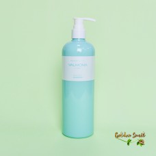 Шампунь для волос увлажняющий Evas Valmona Recharge Solution Blue Clinic Shampoo 480 мл