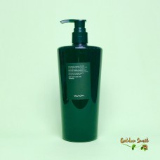 Бессульфатный шампунь против выпадения волос Evas Valmona Earth Anti-Hair Loss Shampoo 500 мл