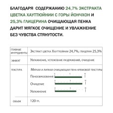 Очищающая пенка с экстрактом цветка хауттюйнии Derma Factory Houttuynia Cordata 24% Cleansing Foam 120 мл