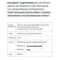 Увлажняющий тонер-эссенция с экстрактом хауттюйнии Derma Factory Houttuynia Cordata 84% Essence Toner 300 мл